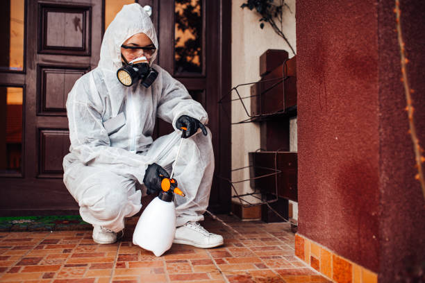 Reliable Cockroach Control contractor in Blue Springs, MO by Nex Pest Control
