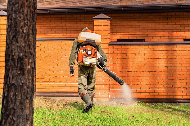 Trusted Cockroach Control service in Blue Springs, MO - Nex Pest Control
